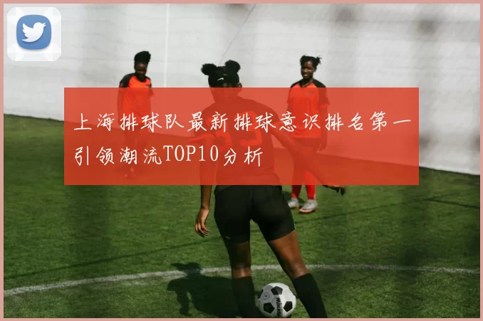 上海排球队最新排球意识排名第一引领潮流TOP10分析