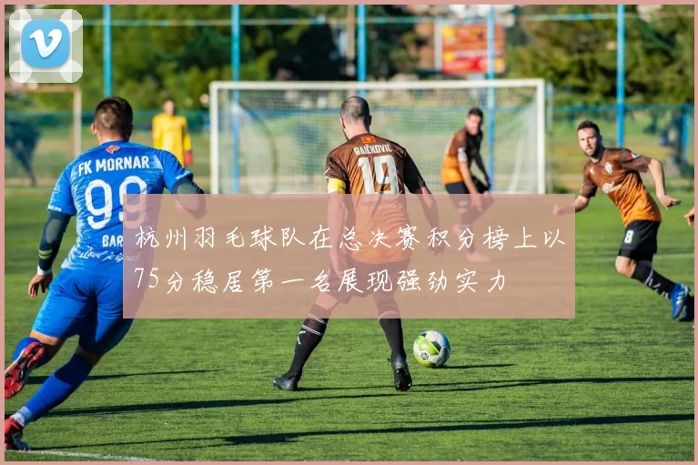 杭州羽毛球队在总决赛积分榜上以75分稳居第一名展现强劲实力