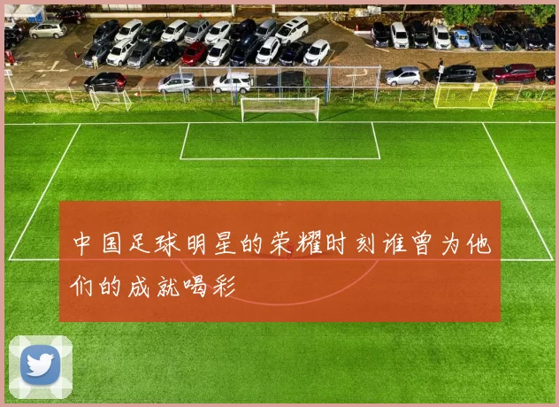 中国足球明星的荣耀时刻谁曾为他们的成就喝彩