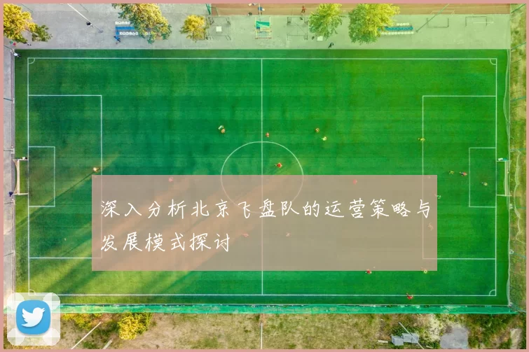 深入分析北京飞盘队的运营策略与发展模式探讨
