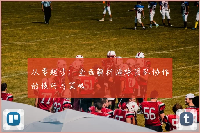 从零起步：全面解析排球团队协作的技巧与策略
