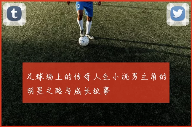 足球场上的传奇人生小说男主角的明星之路与成长故事
