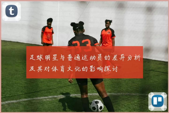 足球明星与普通运动员的差异分析及其对体育文化的影响探讨