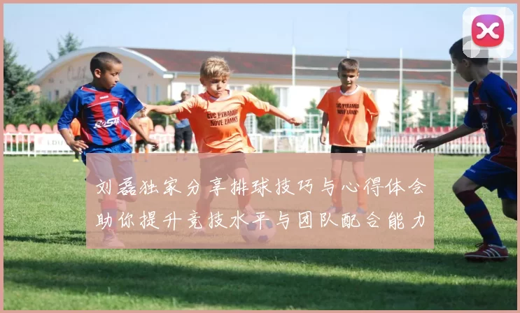 刘磊独家分享排球技巧与心得体会助你提升竞技水平与团队配合能力