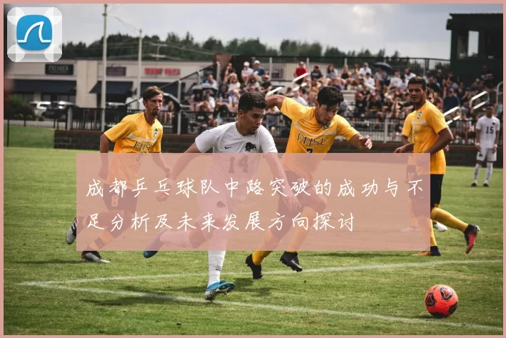 成都乒乓球队中路突破的成功与不足分析及未来发展方向探讨