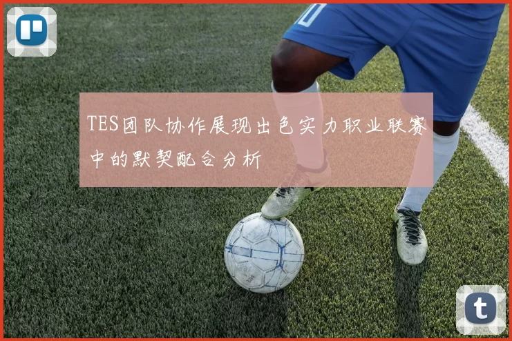 TES团队协作展现出色实力职业联赛中的默契配合分析