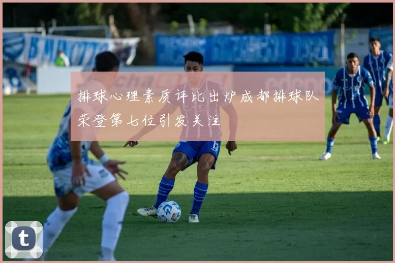 排球心理素质评比出炉成都排球队荣登第七位引发关注