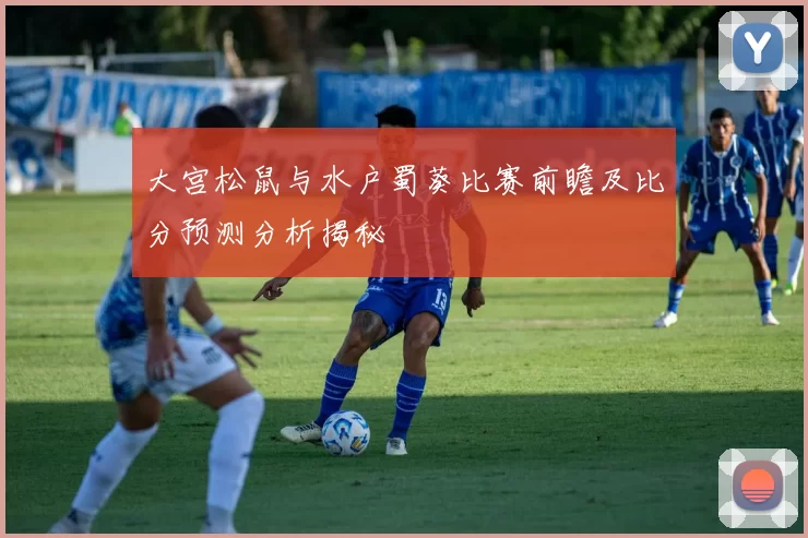 大宫松鼠与水户蜀葵比赛前瞻及比分预测分析揭秘
