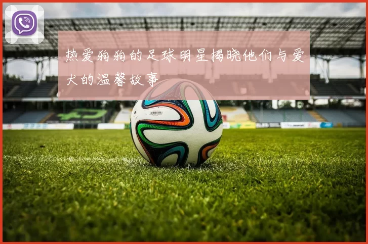 热爱狗狗的足球明星揭晓他们与爱犬的温馨故事