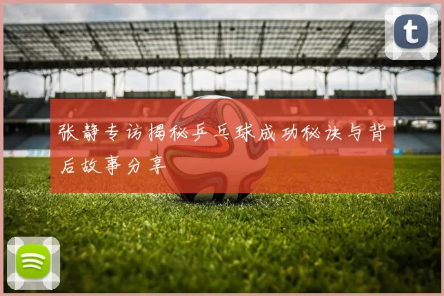 张静专访揭秘乒乓球成功秘诀与背后故事分享