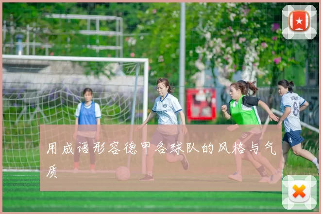 用成语形容德甲各球队的风格与气质