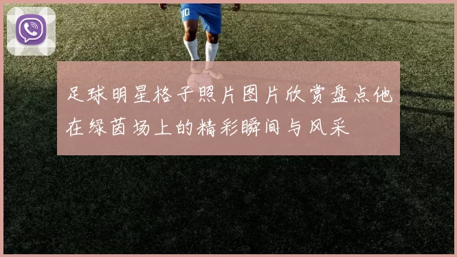 足球明星格子照片图片欣赏盘点他在绿茵场上的精彩瞬间与风采