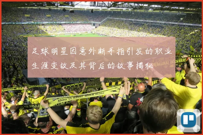 足球明星因意外断手指引发的职业生涯变故及其背后的故事揭秘