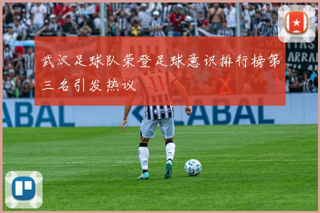 武汉足球队荣登足球意识排行榜第三名引发热议