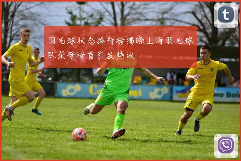 羽毛球状态排行榜揭晓上海羽毛球队荣登榜首引发热议