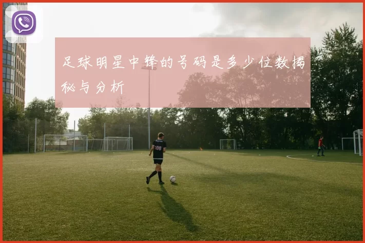 足球明星中锋的号码是多少位数揭秘与分析